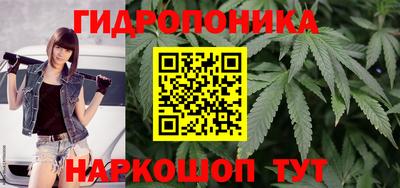 индика Кунгур