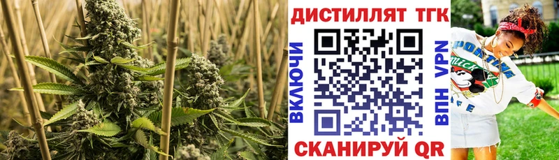 Дистиллят ТГК THC oil  Качканар 