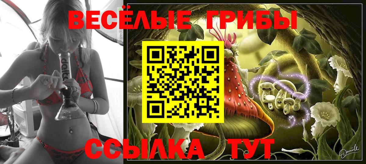 Качканар  Галлюциногенные грибы Cubensis  что такое   Вход с VPN 